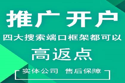 谷歌竞价案例：跨境电商广告投放策略